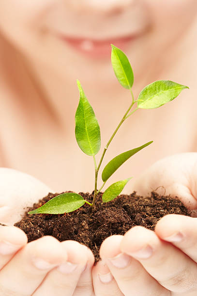 istock The boy observes cultivation of a young plant. 92225213