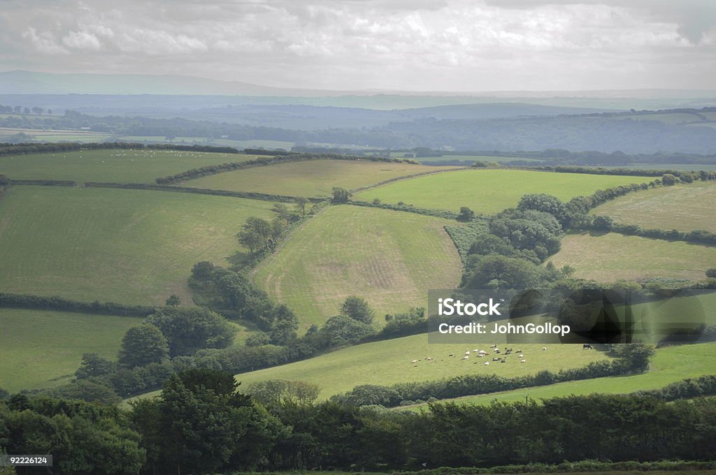 Devon champs - Photo de Agriculture libre de droits