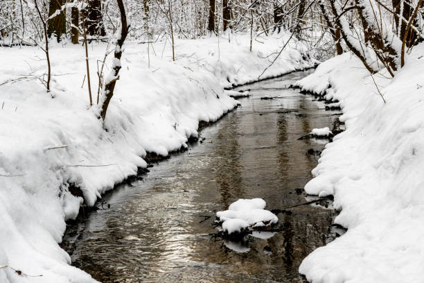 istock In the winter forest, the winter river runs. 922266554