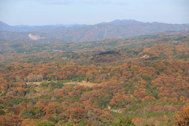 istock autumn view of mount wakakusayama 922266558