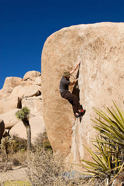 Escalade de Joshua Tree - Photo