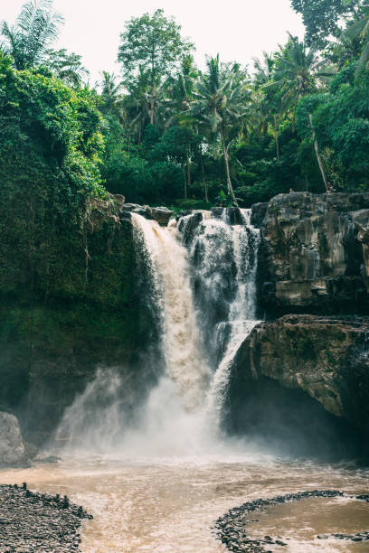 istock Scenic view of Tegenungan waterfall in Bali 922271222