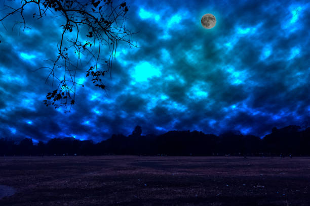 istock Night sky with moon and stars 922274184