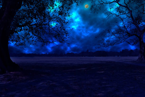 istock Night sky with moon and stars 922274238