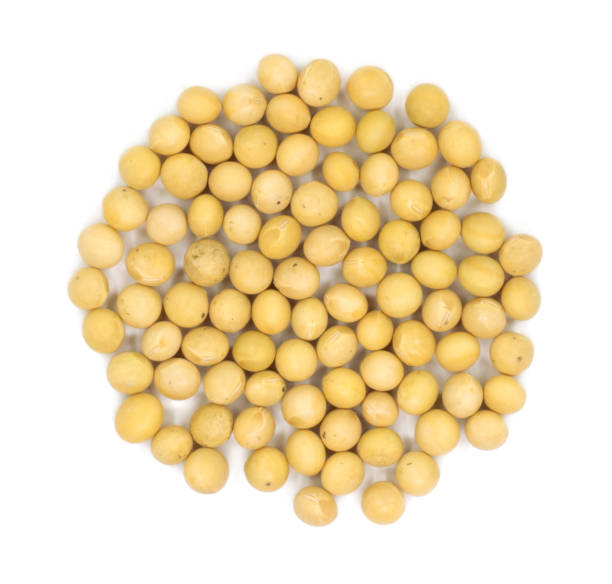 istock Macro shot of soybeans isolate on white background. 922279428