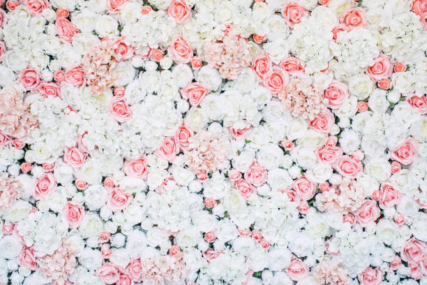 istock Photo of floral wall 922282370