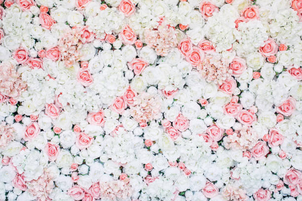 фотография цветочной стены - vibrant color valentines day weddings flowers стоковые фото и изображения