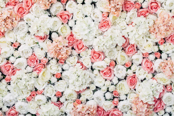 photo de mur floral - white wedding photos et images de collection