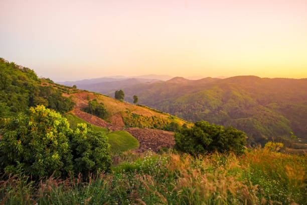istock Nature view mountain, forest and blue sky 922286574