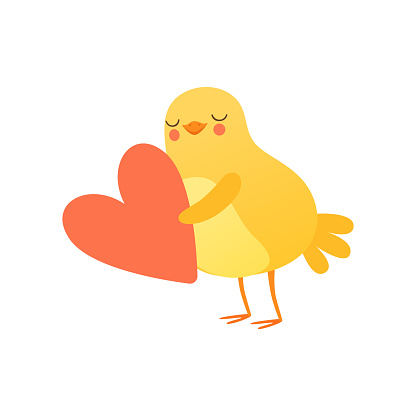 Cute baby chicken holding big red heart, funny cartoon bird character vector Illustration isolated on a white background.