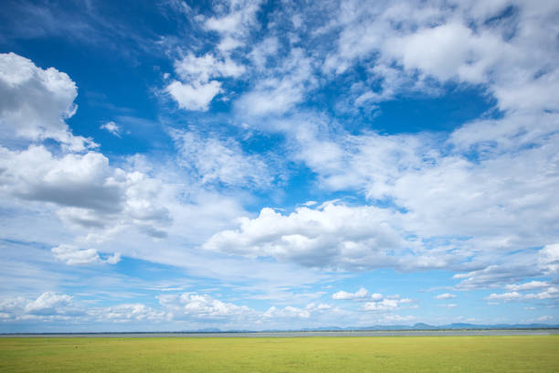 istock Blue sky and green grass field background 922299622