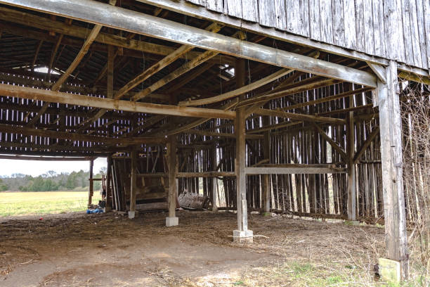 istock Inside an old tobacco drying barn 922299774