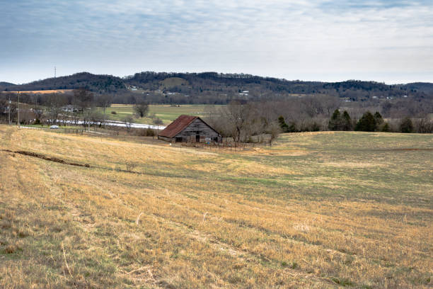 istock Cattle farm in rural Tennessee 922302086
