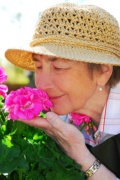 istock Senior woman gardening 92230812