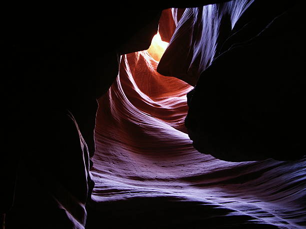 antelope canyon - animal uterus foto e immagini stock