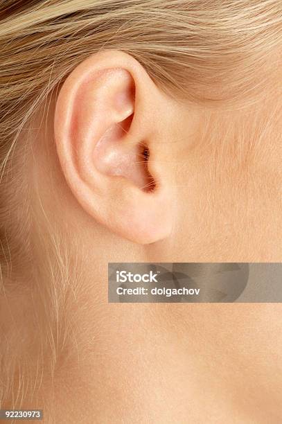Close Up Of Female Ear Stock Photo - Download Image Now - Close-up, Women, Adult