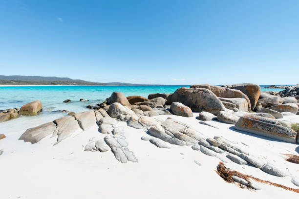 istock Bay of Fires, Tasmania, Australia 922311684