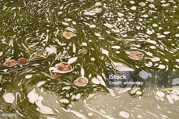 Strömenden Wasser Und Die Schwarzen Schafe Stockfoto und mehr Bilder von Abwasser - Abwasser, Wasser, Schmutzig