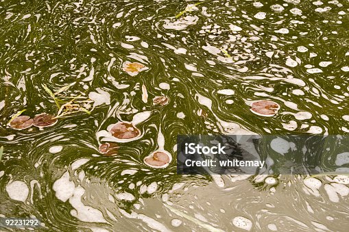 istock Swirling water and scum 92231292