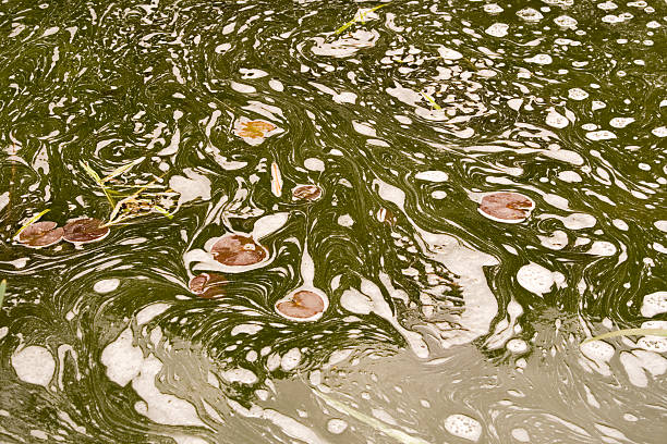 Swirling water and scum  lake grunge stock pictures, royalty-free photos & images