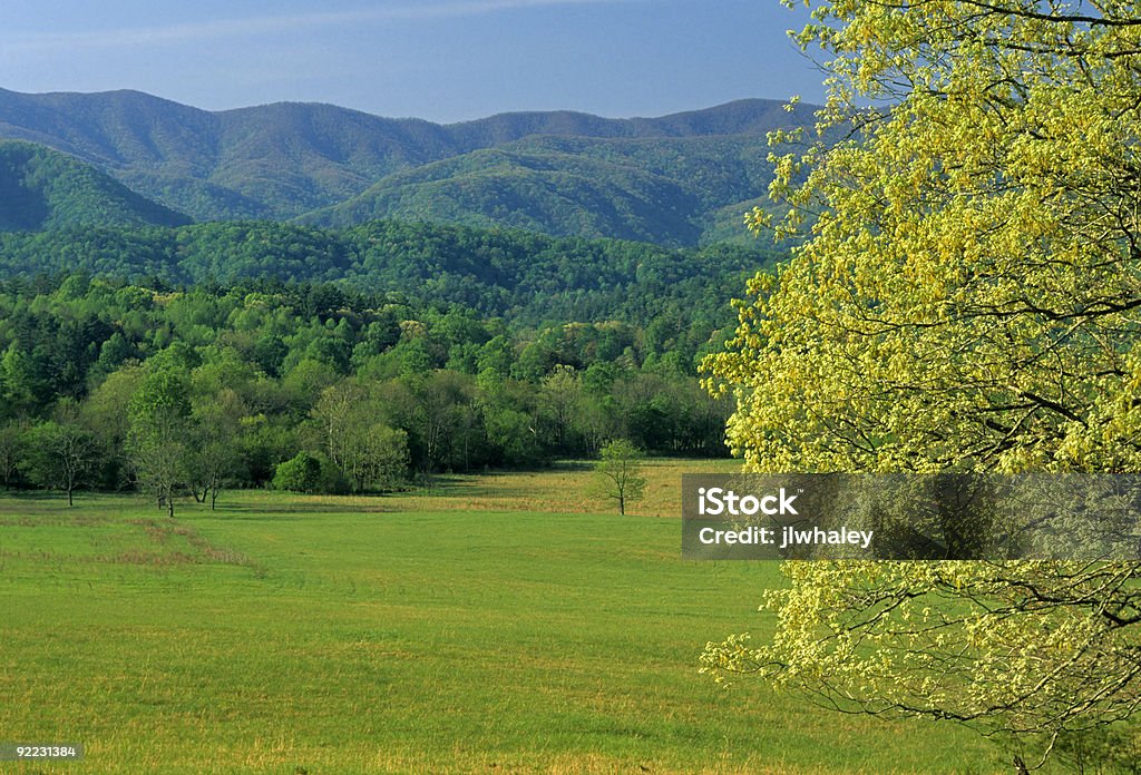 Spring Landscape, Cades Cove, Great Smoky Mtns NP  Agricultural Field Stock Photo