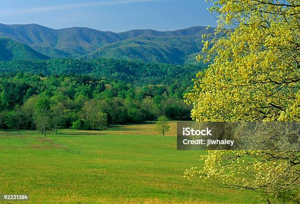 Spring Landscape Cades Cove Great Smoky Mtns Np Stock Photo - Download Image Now - Agricultural Field, Appalachia, Appalachian Mountains