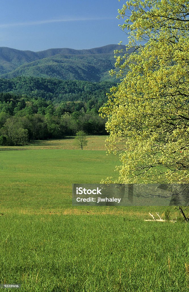 Paisaje de primavera, Cades Cove, Great Smoky Mtns NP - Foto de stock de Aire libre libre de derechos