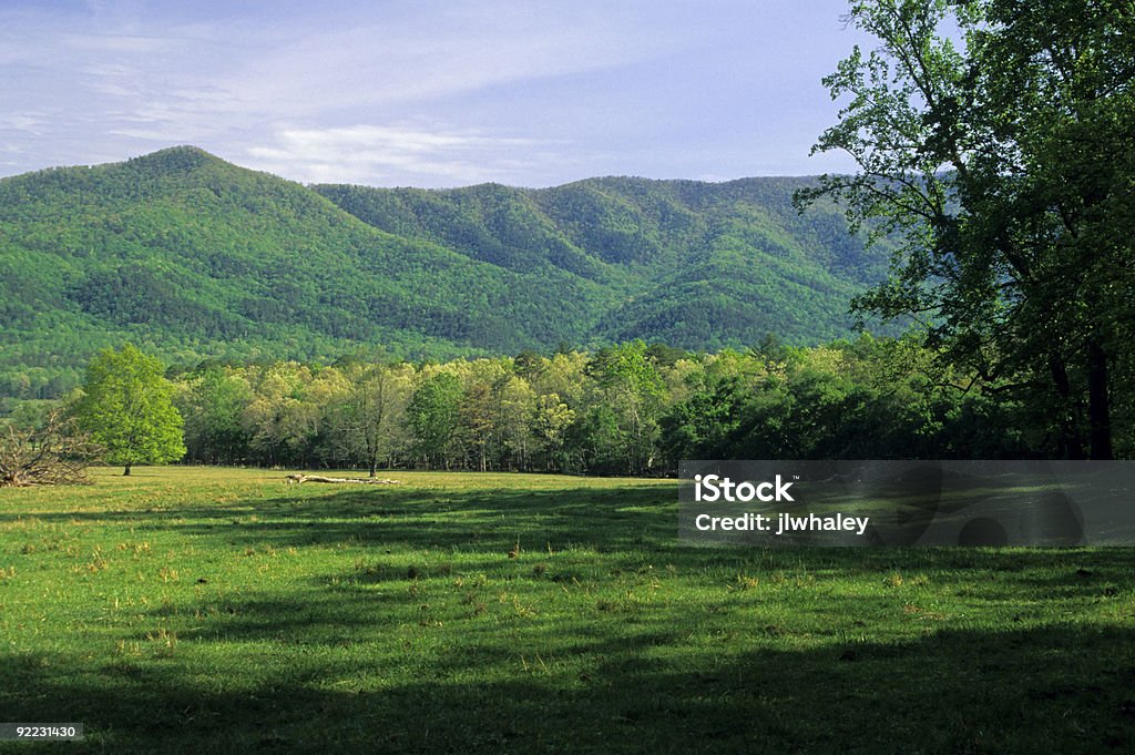 Paesaggio di primavera, Cades Cove, TN - Foto stock royalty-free di Albero