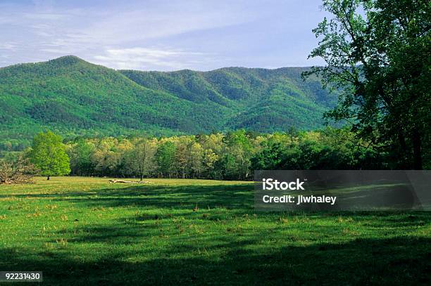 Paesaggio Di Primavera Cades Cove Tn - Fotografie stock e altre immagini di Albero - Albero, Albero deciduo, Albero di legno duro