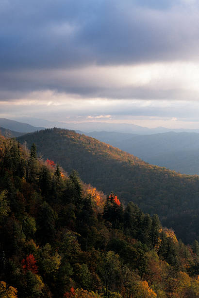 istock Autumn Landscape, Blue Ridge Parkway, NC 92231438