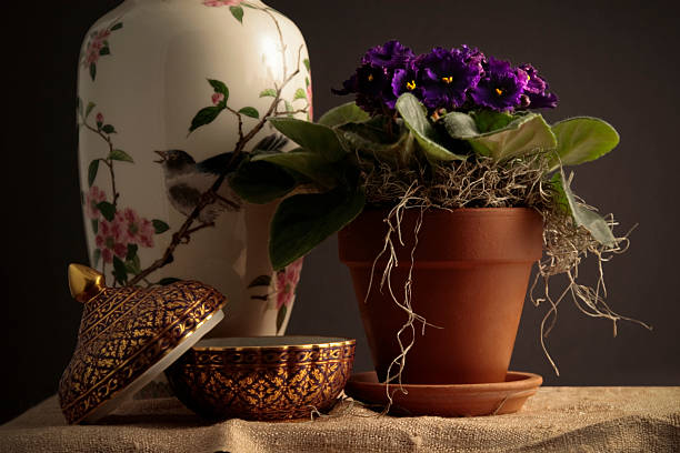 istock Still life of violets, vase, and container 92231568