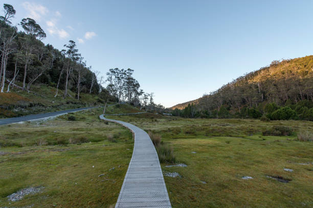 istock Cradle Mountain, Tasmania, Australia 922318386