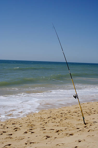 istock Fishing in the sea 92232543