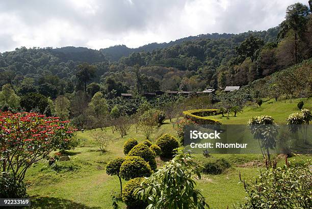Bergpanorama Im Norden Thailands Stockfoto und mehr Bilder von Alm - Alm, Berg, Farbbild