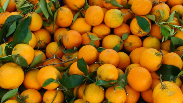 istock display of oranges on a Greek market 922335426