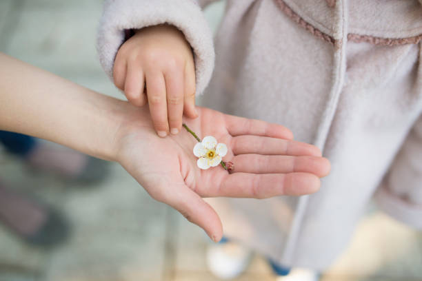 istock Parent and child hands handing flowers 922335660