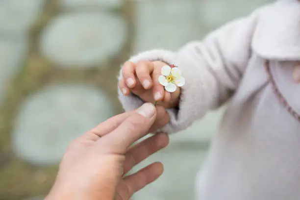 Parent and child handing small white flowers