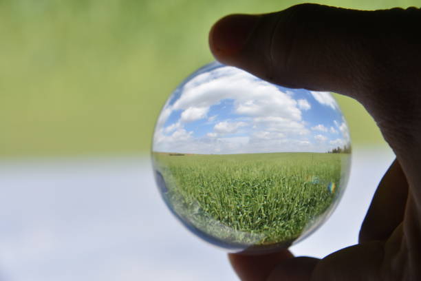 istock Human hand holds a crystal ball against a green field background 922341596