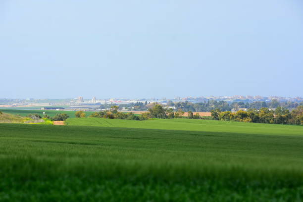 istock Gaza City, israel 922344768