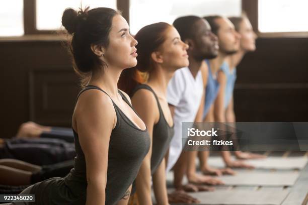 Group Of Sporty People In Upward Facing Dog Exercise Stock Photo - Download Image Now