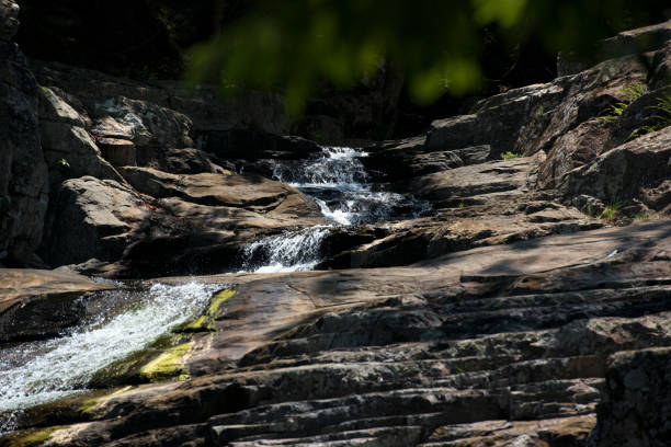 istock Cedar creek in Samford, Queensland. 922348922