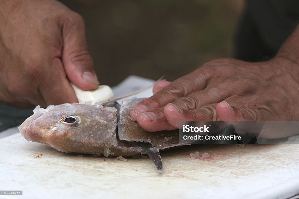 A filetagem Peixe - Royalty-free Afiado Foto de stock