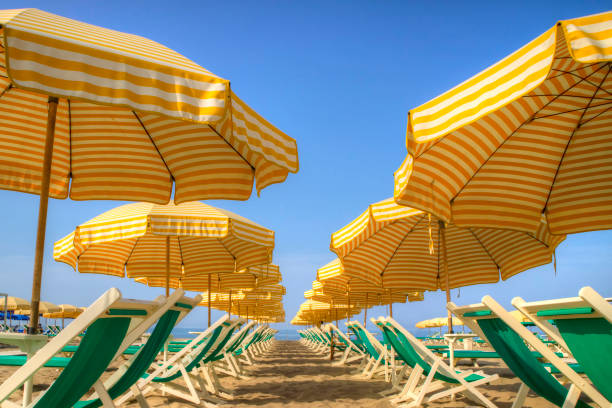 istock Viareggio and its beach 922351390