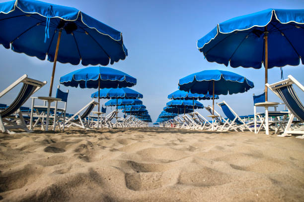 viareggio and its beach - beach umbrella imagens e fotografias de stock