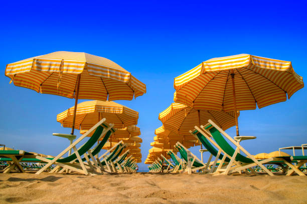 istock Viareggio and its beach 922351402