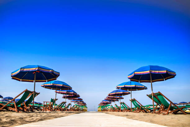 istock Viareggio and its beach 922351404