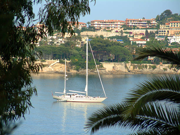 Harbor of Antibes packed with various yachts.