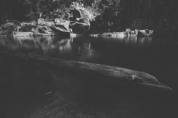 Beautiful Cedar Creek in Samford, Queensland.