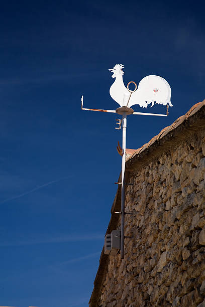 banderuola - roof roof tile rooster weather vane foto e immagini stock