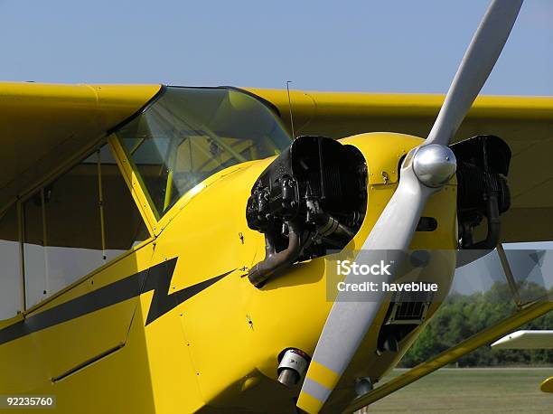 黄色の車 - 肉食哺乳動物の子のストックフォトや画像を多数ご用意 - 肉食哺乳動物の子, 飛行機, 航空機